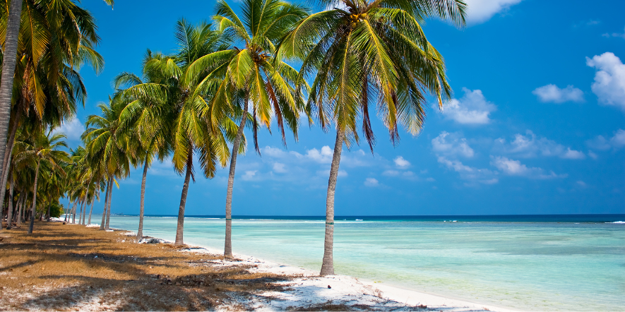 lakshadweep honeymoon special